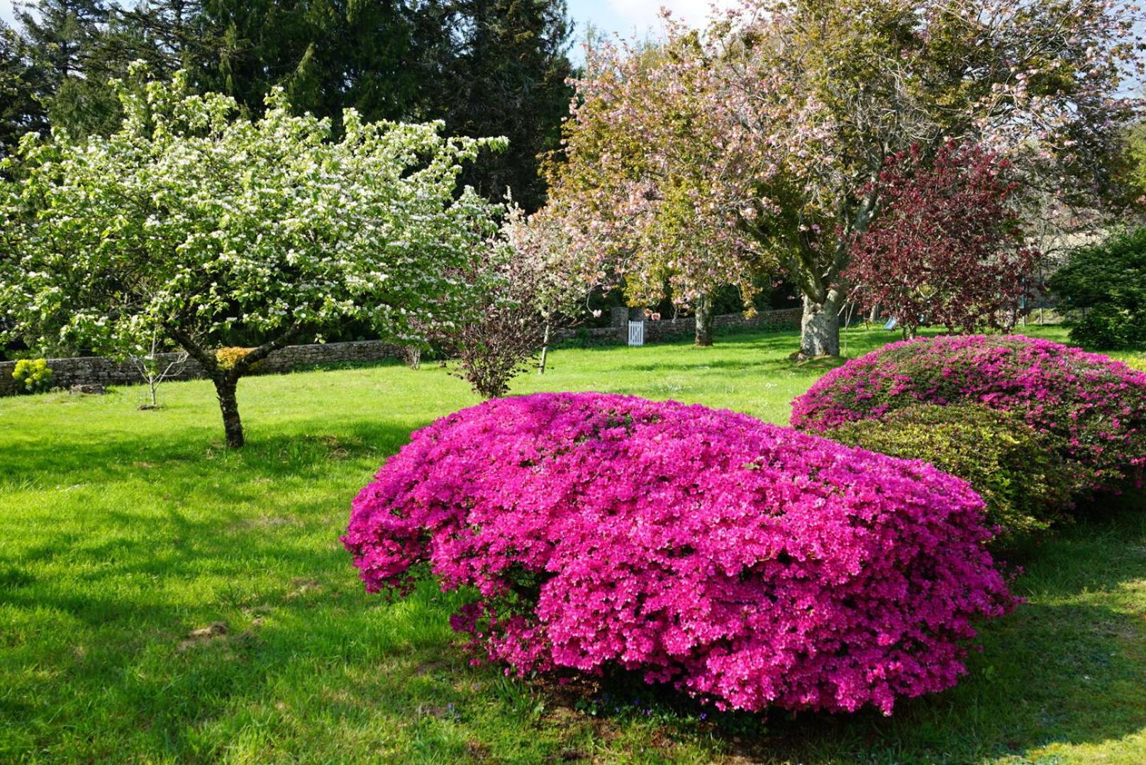 Les Jardins De Bathilde - Au Sein Du Chateau De Bothane Hotel กิเดล ภายนอก รูปภาพ